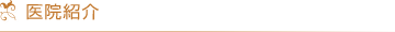 医院紹介