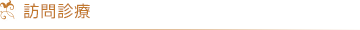 訪問診療