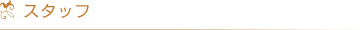 スタッフ